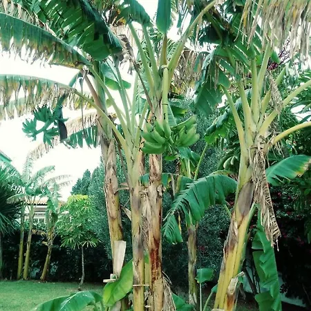 Zorollo Con Piscina Vakantiehuis