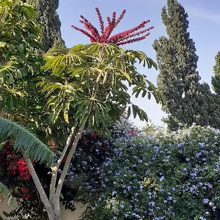 Zorollo Con Piscina Vakantiehuis *