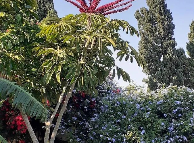 Zorollo Con Piscina Feriehus *